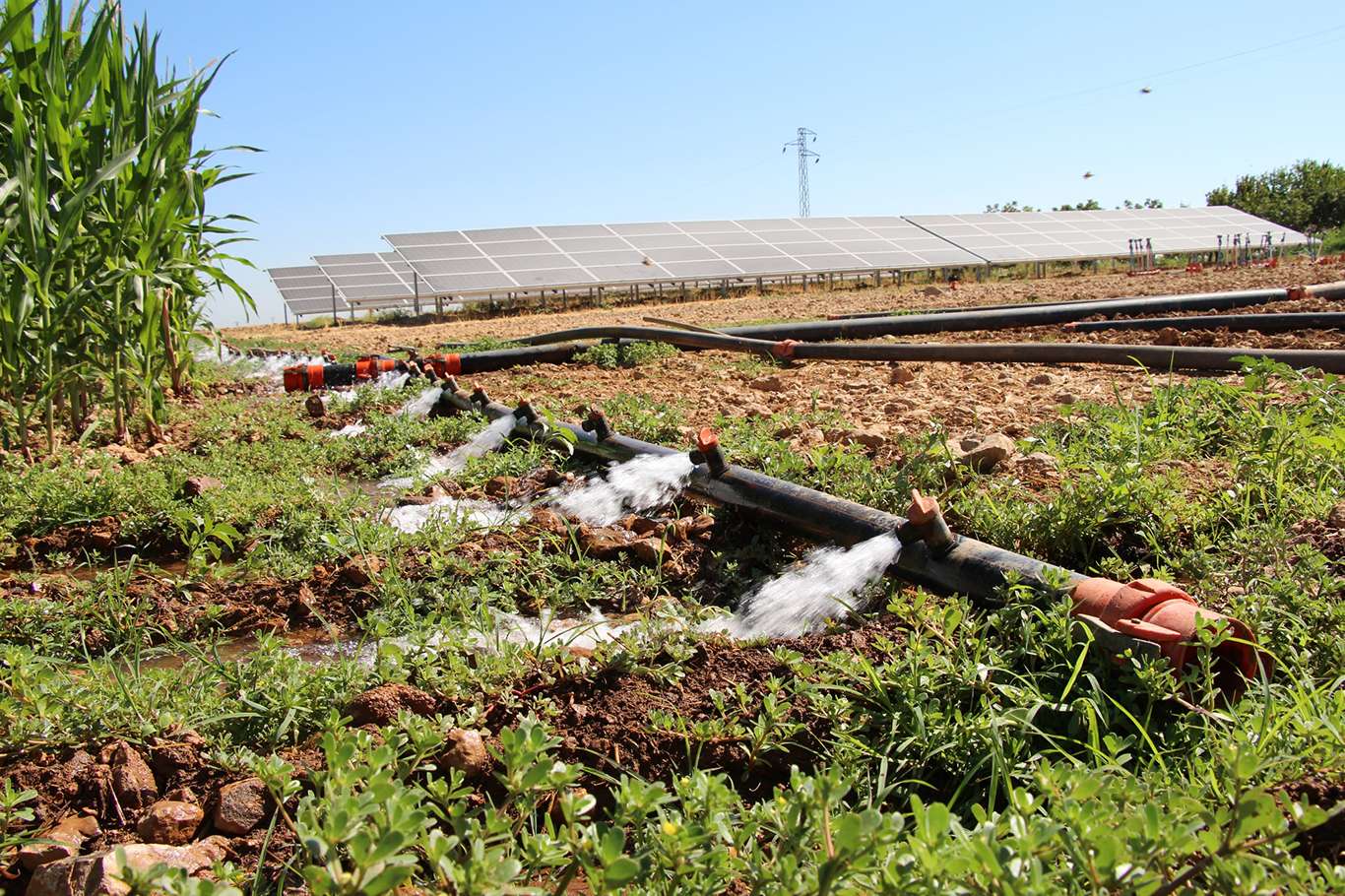 Sulama için güneş sistemi kuran çiftçi elektrik masrafından kurtuldu